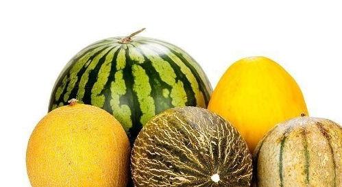 多多娱乐吃瓜,揭秘娱乐圈吃瓜背后的真相与笑料